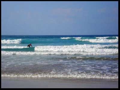 surf